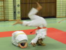 Fallschule über Hindernisse Fallschule über Hindernisse